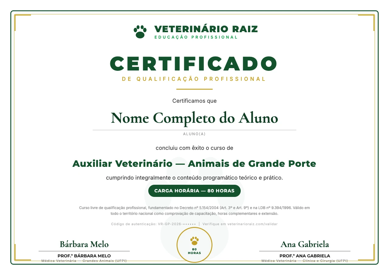 Modelo do certificado de Auxiliar Veterinário — Animais de Grande Porte
