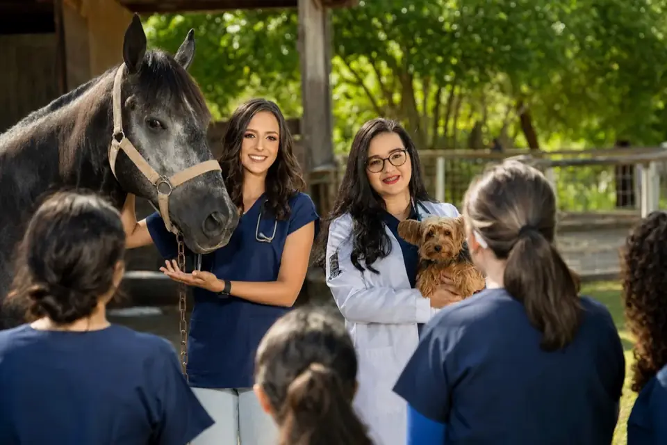 Professoras dando aula prática com cavalo e cães