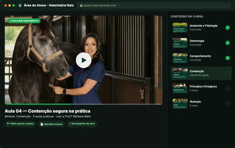 Área do aluno com as vídeo-aulas do curso
