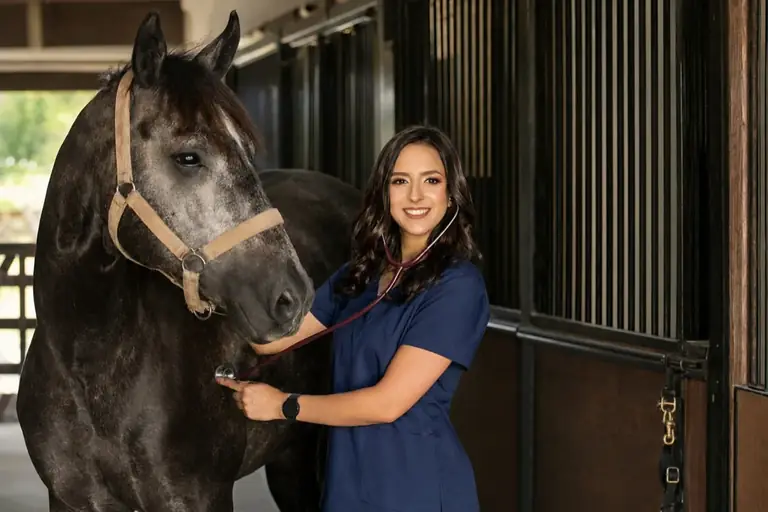 Professora examinando cavalo na prática