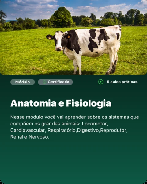 Módulo: Anatomia e Fisiologia