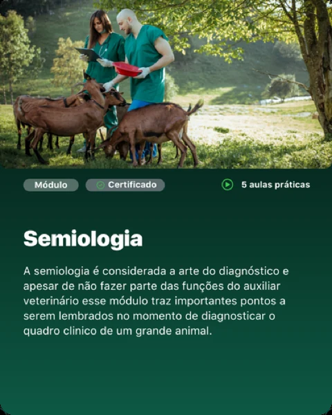 Módulo: Semiologia