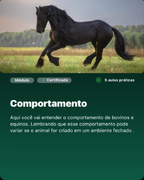 Módulo: Comportamento