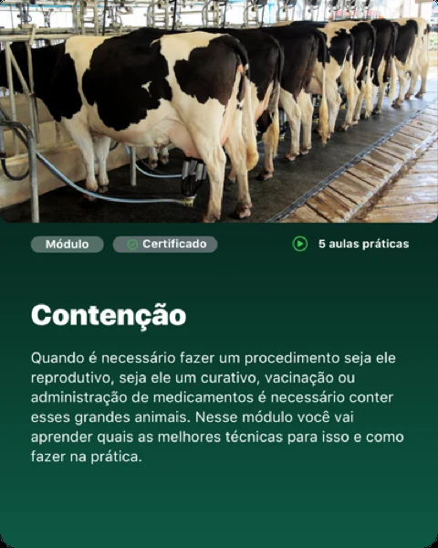 Módulo: Contenção