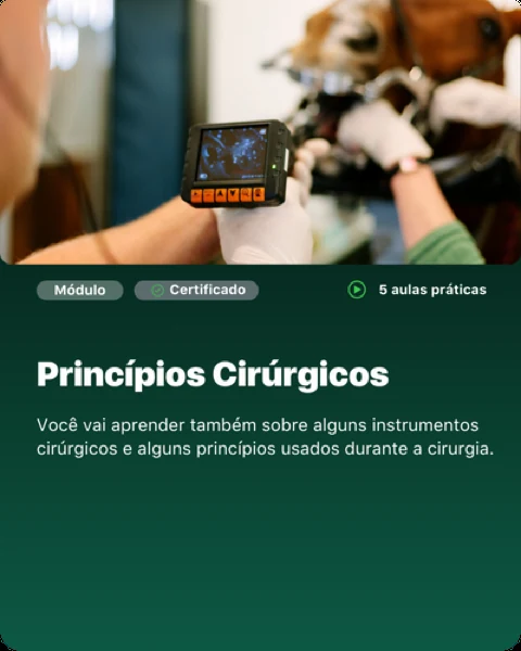 Módulo: Princípios Cirúrgicos