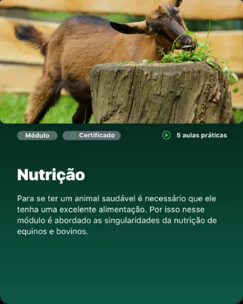 Módulo: Nutrição